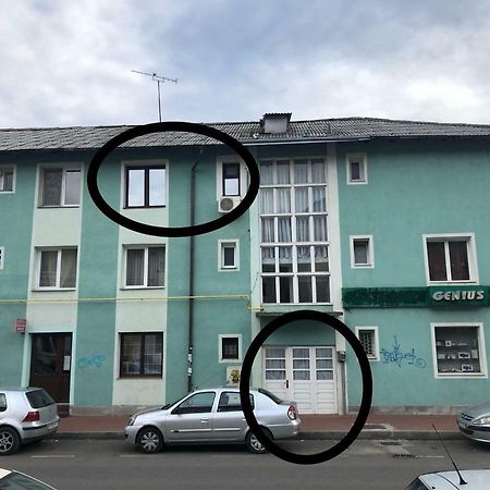 Vintage Apartment Sučava Exteriér fotografie